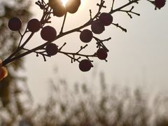 -仟吉(沿港路店)