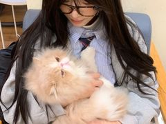 -滚猫咖啡·猫咖·猫友好撸猫(未来城店)
