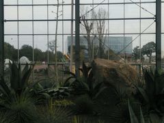 -南通洲际绿博园