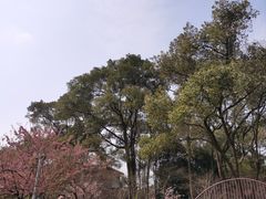 -南山植物园