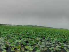 -天津东丽湖风景区