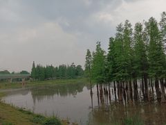 -白鹭湾湿地公园