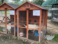 -白马涧龙池景区