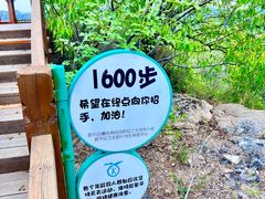 -大岭沟猕猴桃谷风景区