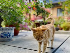 -开元寺
