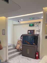 -海涛医疗美容·面部抗衰·注射美鼻