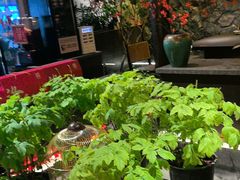 -杏花村水席楼·洛阳水席(老城十字街店)