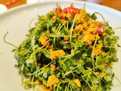 三叶香拌海胆-海铺·渔家虾水饺(皇姑店)