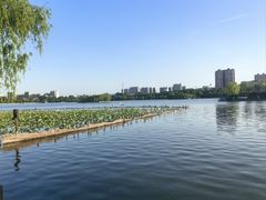 -济南大明湖景区