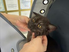 -博特宠物医院24h犬猫全科.骨科·异宠