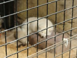 -酷嗒动物文化乐园(cutezoo西溪乐天城店)