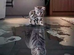 -美美咖啡·西餐厅(世奥店)