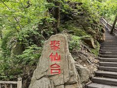-天女山森林公园