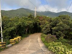 -梧桐山风景名胜区