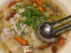 -渔见·精品川菜·老坛酸菜鱼(大朗店)