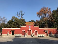 -炎帝陵景区