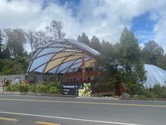 -怀托摩萤火虫洞