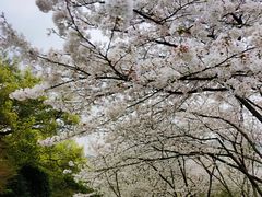 -中国茶叶博物馆(双峰馆区)