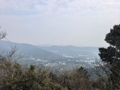 -旺山景区