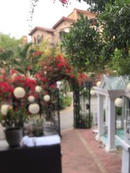 -非常六加一儿童摄影(同安店)