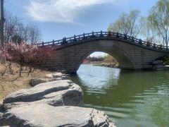 -大兴滨河森林公园