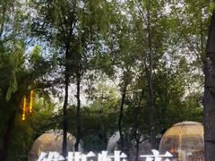 -维斯特·夜烤牛肋条任吃