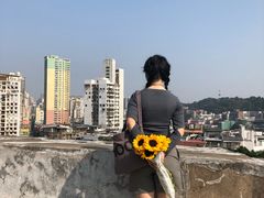 -澳门环岛游湾仔码头