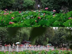 -成都市文化公园