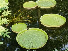 -上海滨江森林公园