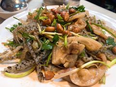 -张记旺角食街(动物园店)