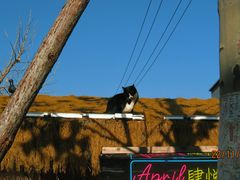 -辛庄国际文化艺术区