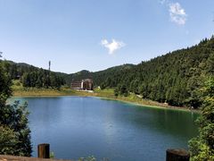 -武陵山森林公园