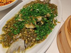 烧椒鲈鱼-尘香•传统川菜(创汇首座店)
