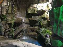 -锦艺城海洋馆