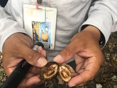 -龙坑生态保护区