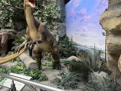 -国家自然博物馆