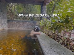 -广州锦绣香江度假别墅