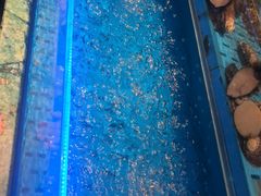 -海底捞火锅(长宁路龙之梦店)
