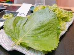 紫苏叶-臻牛烤肉