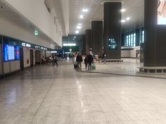 -米兰马尔彭萨国际机场