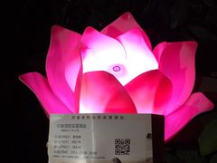 -印象普陀