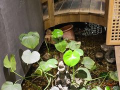 -邈墨茶馆(凤起路店)