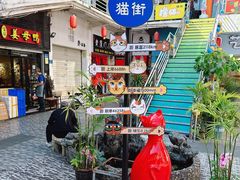 -猫咪博物馆(顶澳仔猫街店)