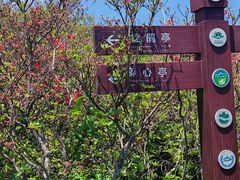 -大围山国家森林公园