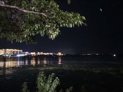 -洱海月湿地公园