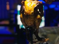-囧吉香生蚝牛排馆(湖北路店)