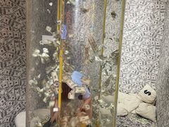 -不可思议减压馆·解压博物馆·摔碗发泄·团建定制