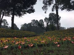 -保利石象湖景区