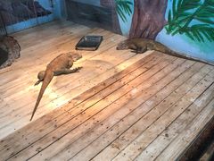 -石家庄市动物园