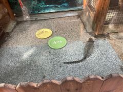 -上海大自然野生昆虫馆(东方明珠·爬宠昆虫探索中心)